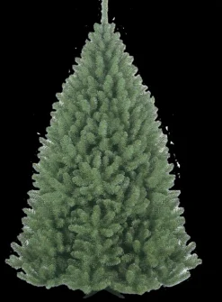 Sapins De Noël-DDD Arbe Noël Belleridge 180cm