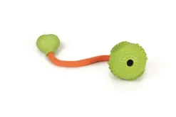Jouets-Beeztees Balle caoutchouc avec corde vert 5 cm