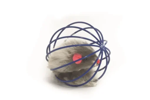 Jouets-Beeztees Balle en fil de fer avec souris