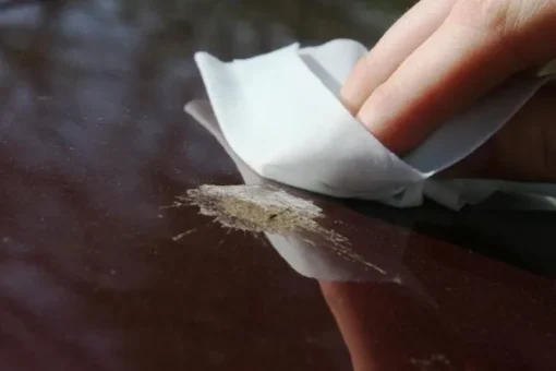 Nettoyage Extérieur-Autoglym Bird dropping wipes
