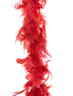 Accessoires-Euro Shop Boa 2 mètres 45gr - Rouge