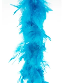 Accessoires-Euro Shop Boa 2 mètres 45gr - Turquoise