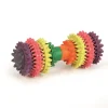 Jouets-Beeztees Caoutchouc haltère dental care