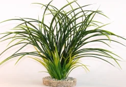 Décoration D'aquariums-Sydeco Fan grass 30 cm