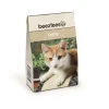 Jouets-Beeztees Herbe pour chats en boîte 20 g