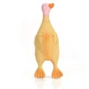 Jouets-Beeztees Latex canard petit