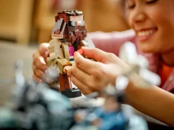 Jeux De Construction-Lego Harry Potter 76443 La balade en moto de Hagrid™ et Harry