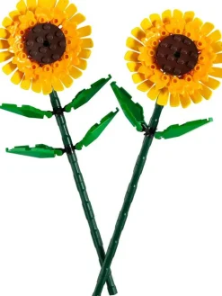Jeux De Construction-Lego Iconic 40524 Tournesols