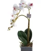 Vases Et Cache Pots-DDD Orchidee Rana