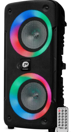 Audio-Euro Shop Party speaker 2x6" woofer