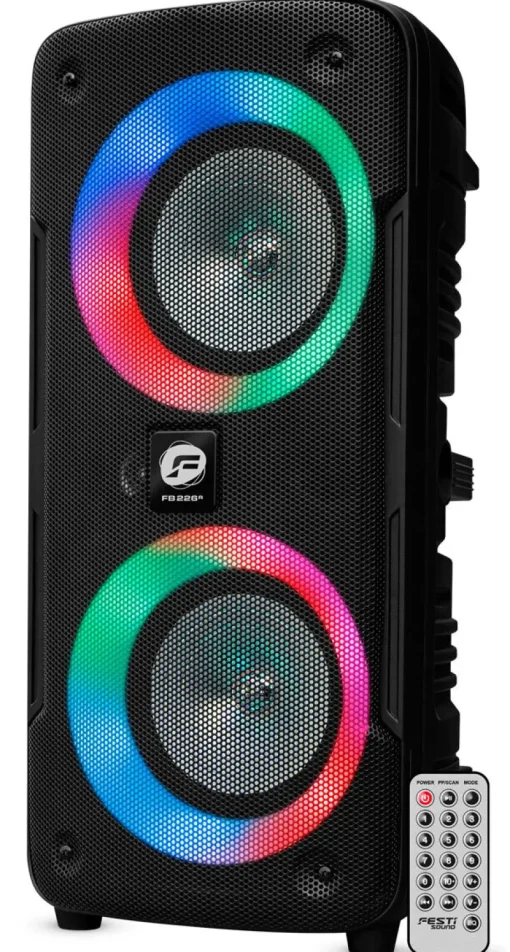 Audio-Euro Shop Party speaker 2x6" woofer