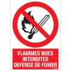 Signalisation-Pickup Pictogramme flammes nues 23 x 33 cm