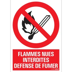 Signalisation-Pickup Pictogramme flammes nues 23 x 33 cm