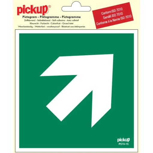 Signalisation-Pickup Pictogramme flèche 45° 15 x 15 cm