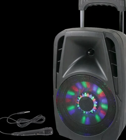 Audio-Party Portable sound system LED bluetooth 8''