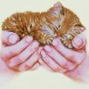Artisanat-Dotz Precious Kitten Diamond