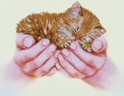 Artisanat-Dotz Precious Kitten Diamond