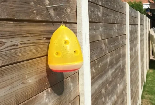 Anti-insectes (rideaux À Mouches, Sprays, Stickers, Boite Anti-fourmis, Etc.)-Protecta Piège à guêpes