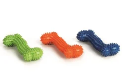 Jouets-Beeztees Spiky os de massage caoutchouc
