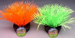 Décoration D'aquariums-Sydeco Sunny plant 11 cm